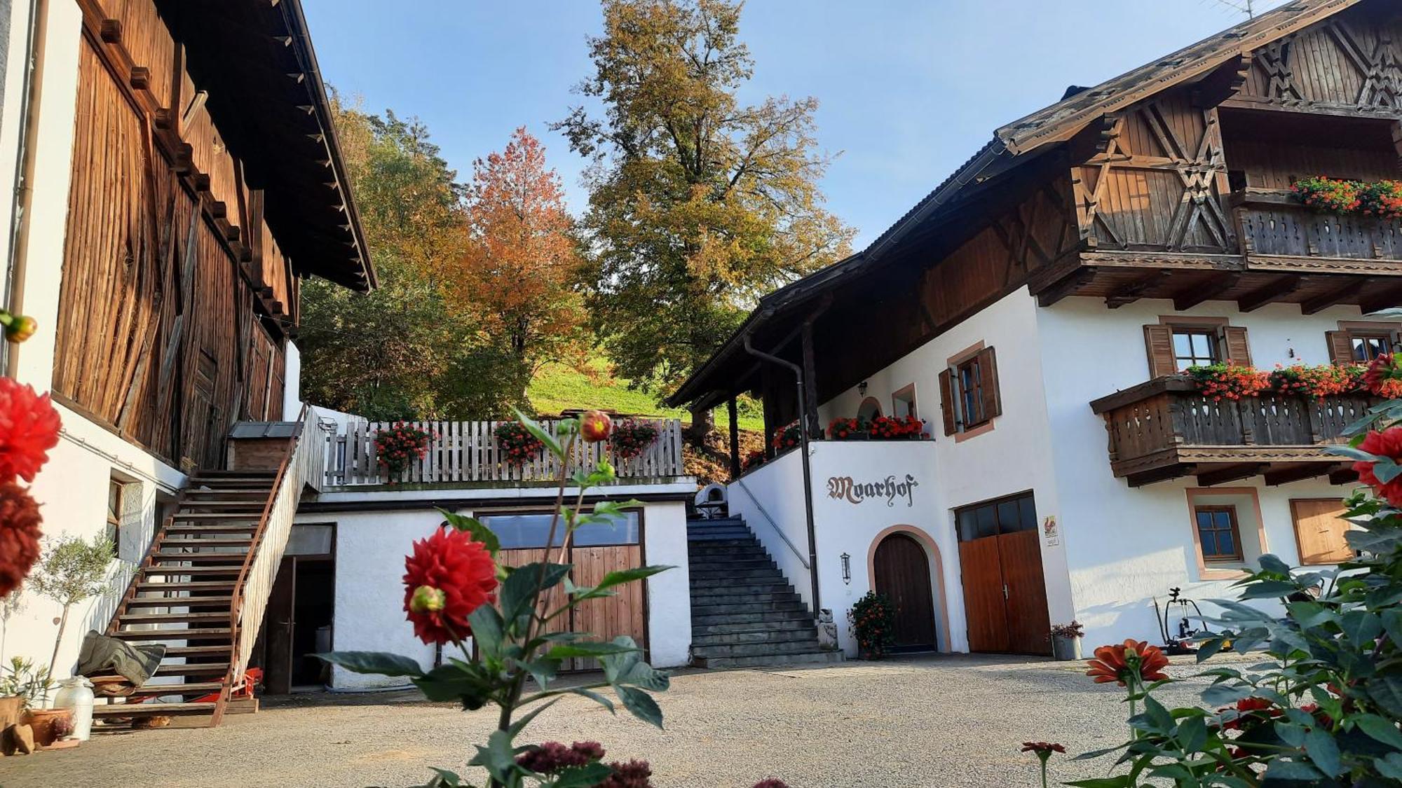 Moarhof Gufidaun Appartement Klausen Buitenkant foto